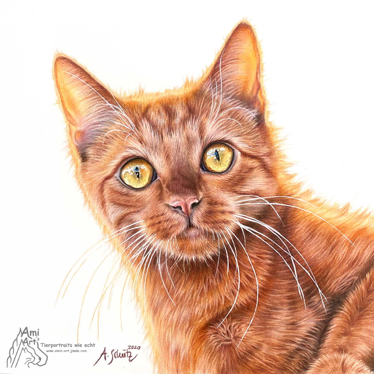 Katzenportrait, gezeichnet mit Buntstiften von Ami Schütz
