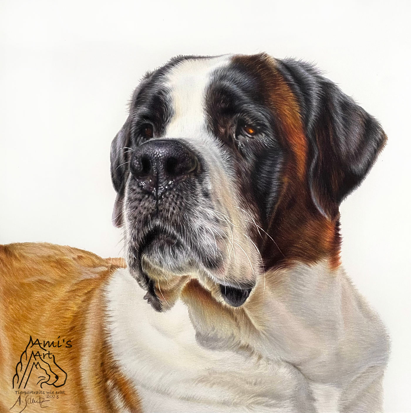Hundeportrait Bernhardine, gezeichnet mit Buntstiften von Ami Schütz.