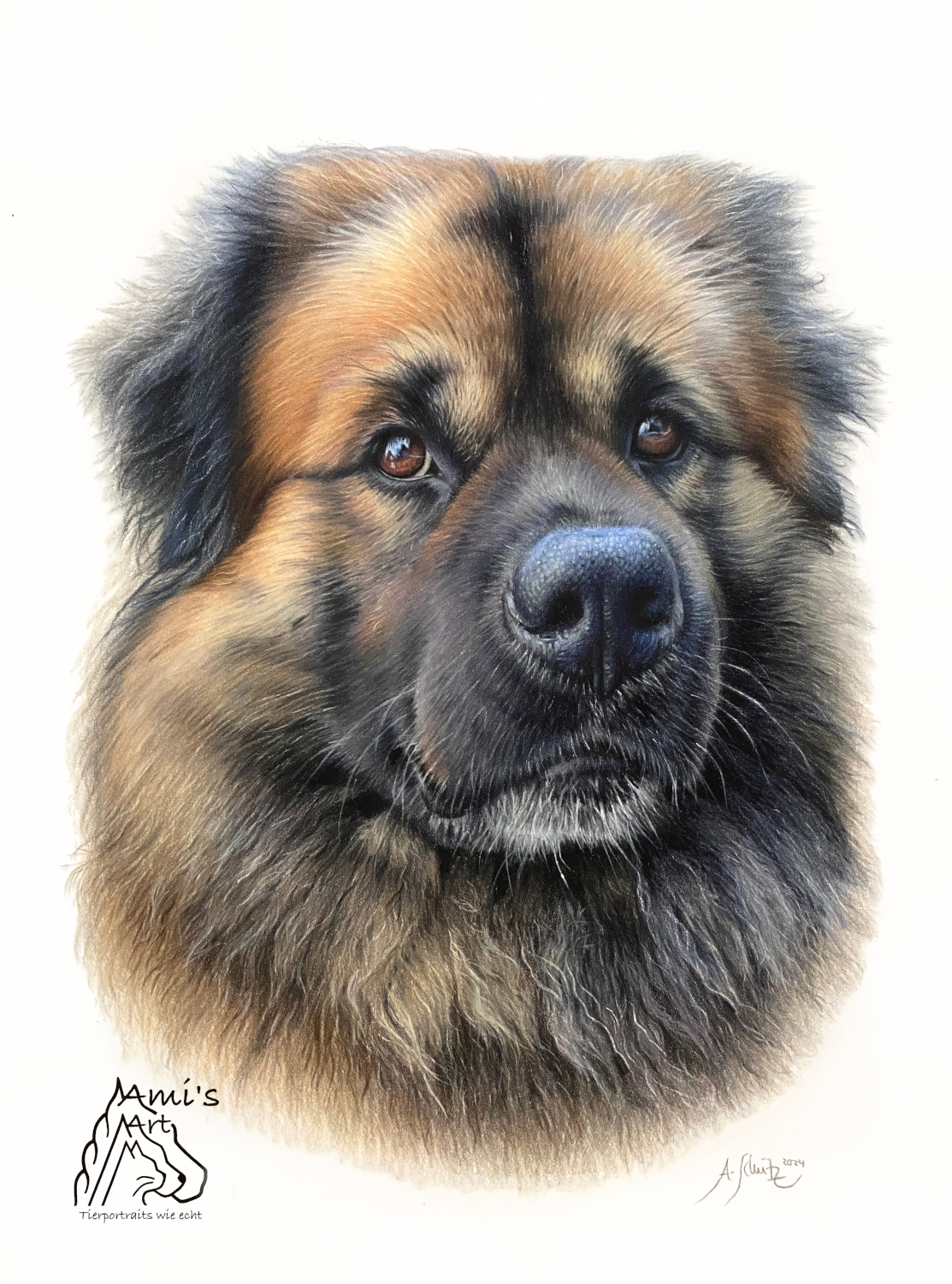 Buddy, A3.