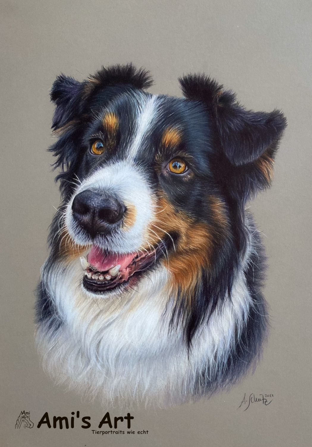 Hundeportrait Australian Shepherd, gezeichnet mit Buntstiften von Ami Schütz.