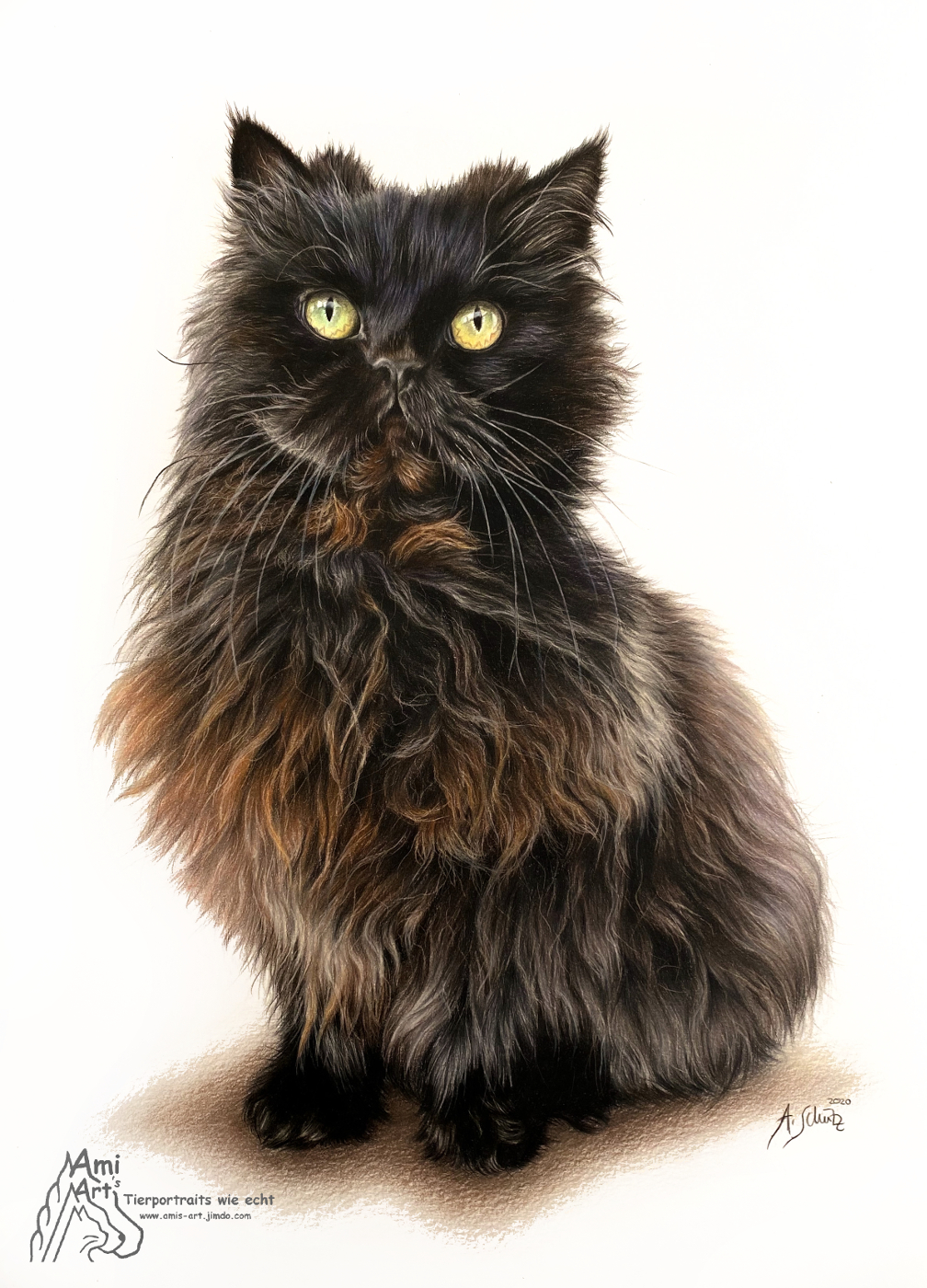 Portrait Perserkatze, gezeichnet von Ami Schütz mit Buntstiften.