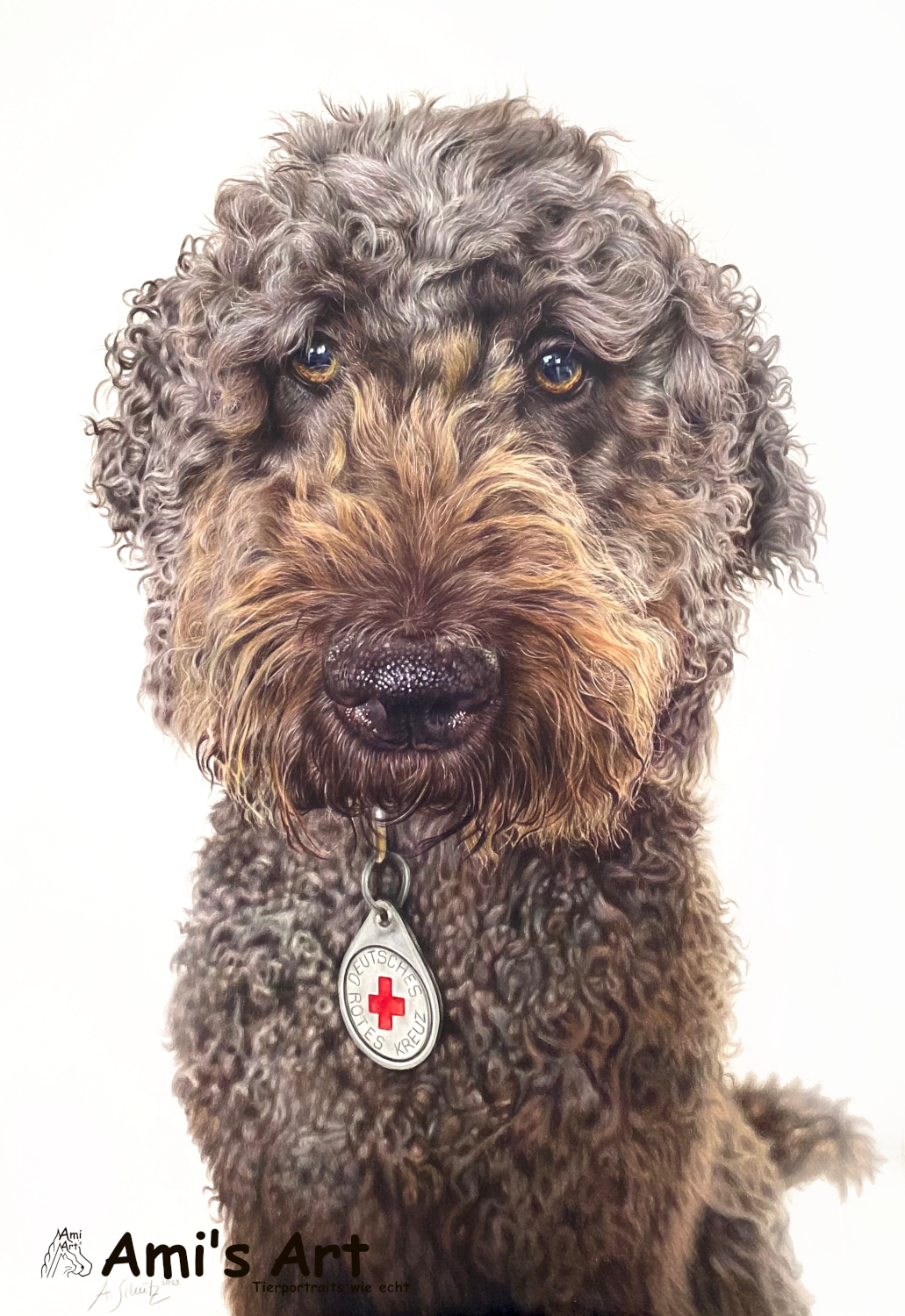 Labradoodle Trish, A2. 