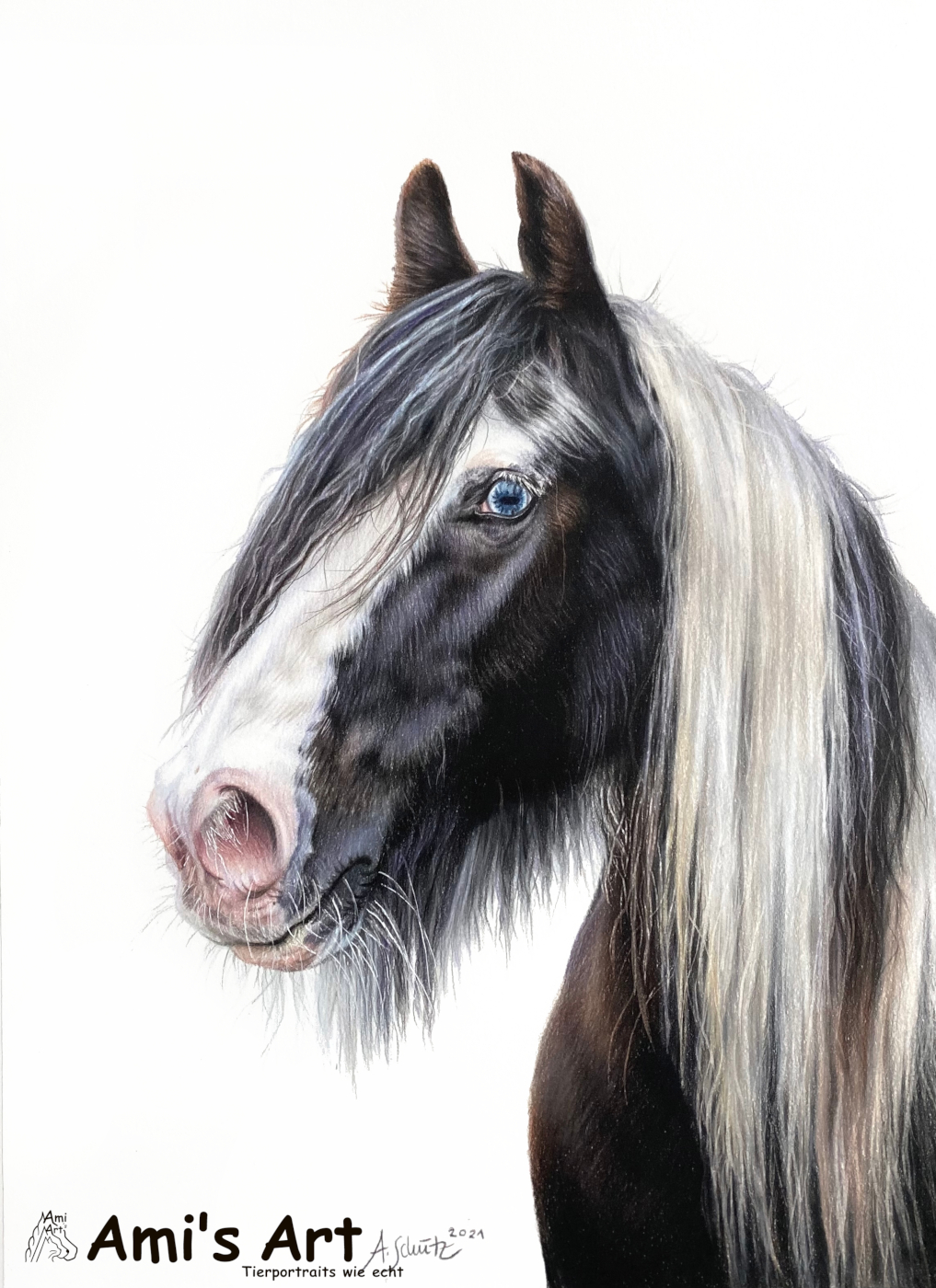 Portrait Irish Tinker Pferd, gezeichnet von Ami Schütz mit Buntstiften.