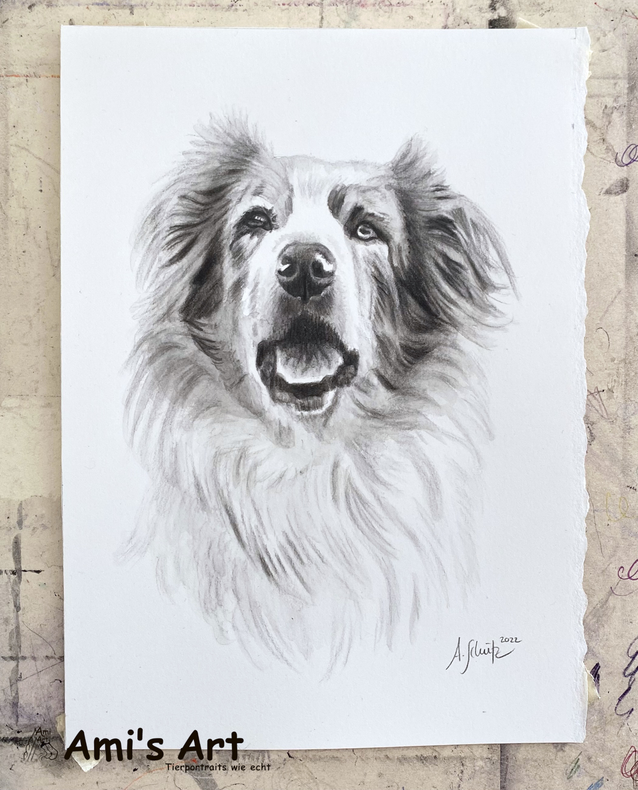 Aussie Flake, Graphitaquarell, A5. 