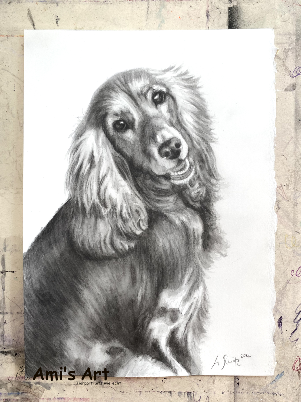 Cocker Spaniel Tina, Graphitaquarell, A5.