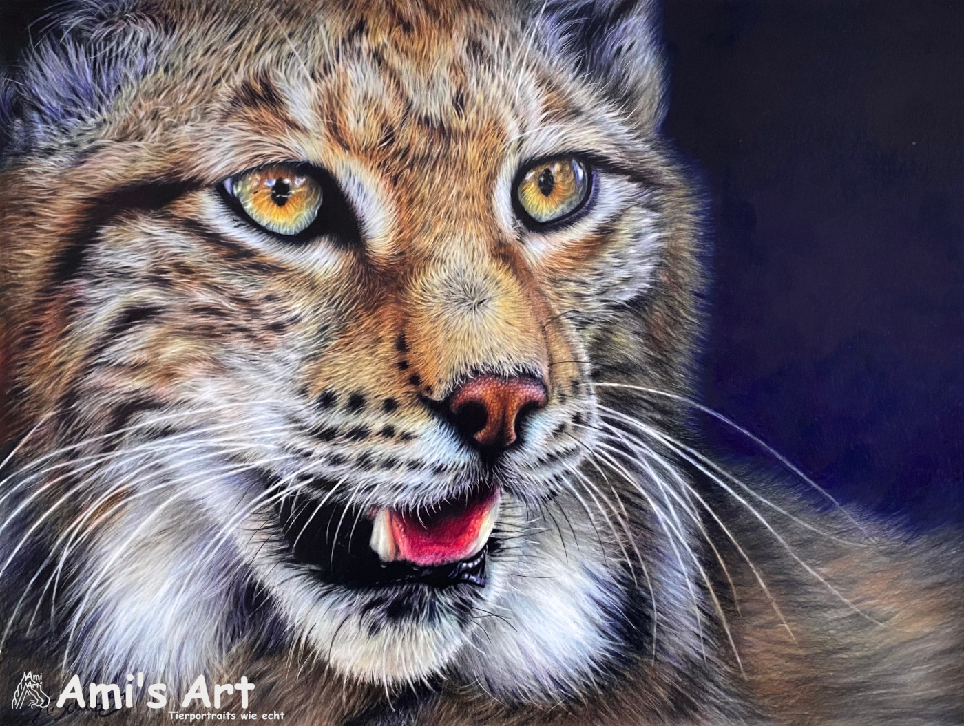 Portrait Luchs, gezeichnet von Ami Schütz mit Buntstiften.