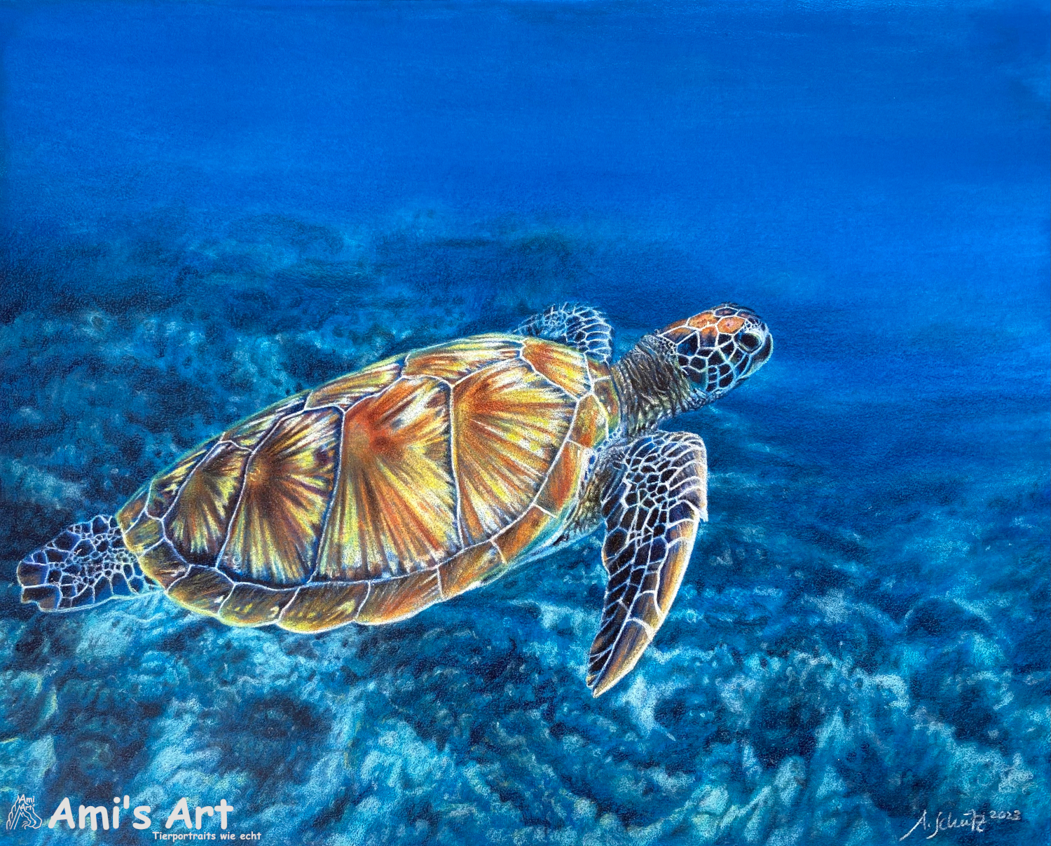 Sea turtle, full tutorial.