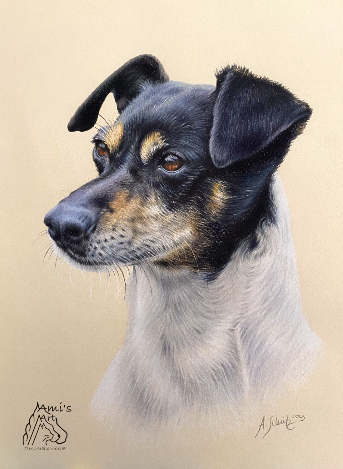 Hundeportrait Jack Russell, gezeichnet mit Buntstiften von Ami Schütz.