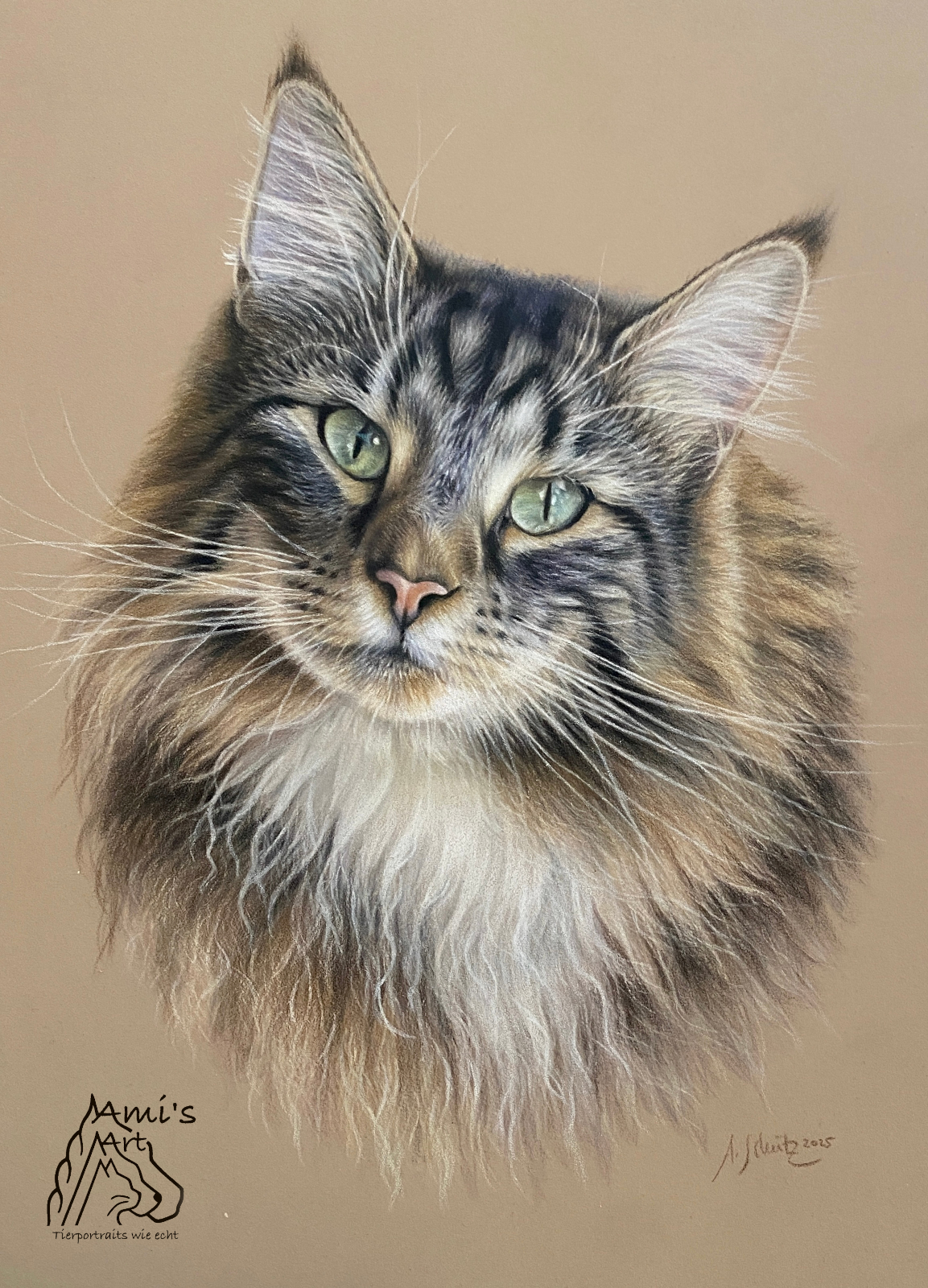Katzenportrait Norwegische Waldkatze, gezeichnet mit Buntstiften von Ami Schütz.