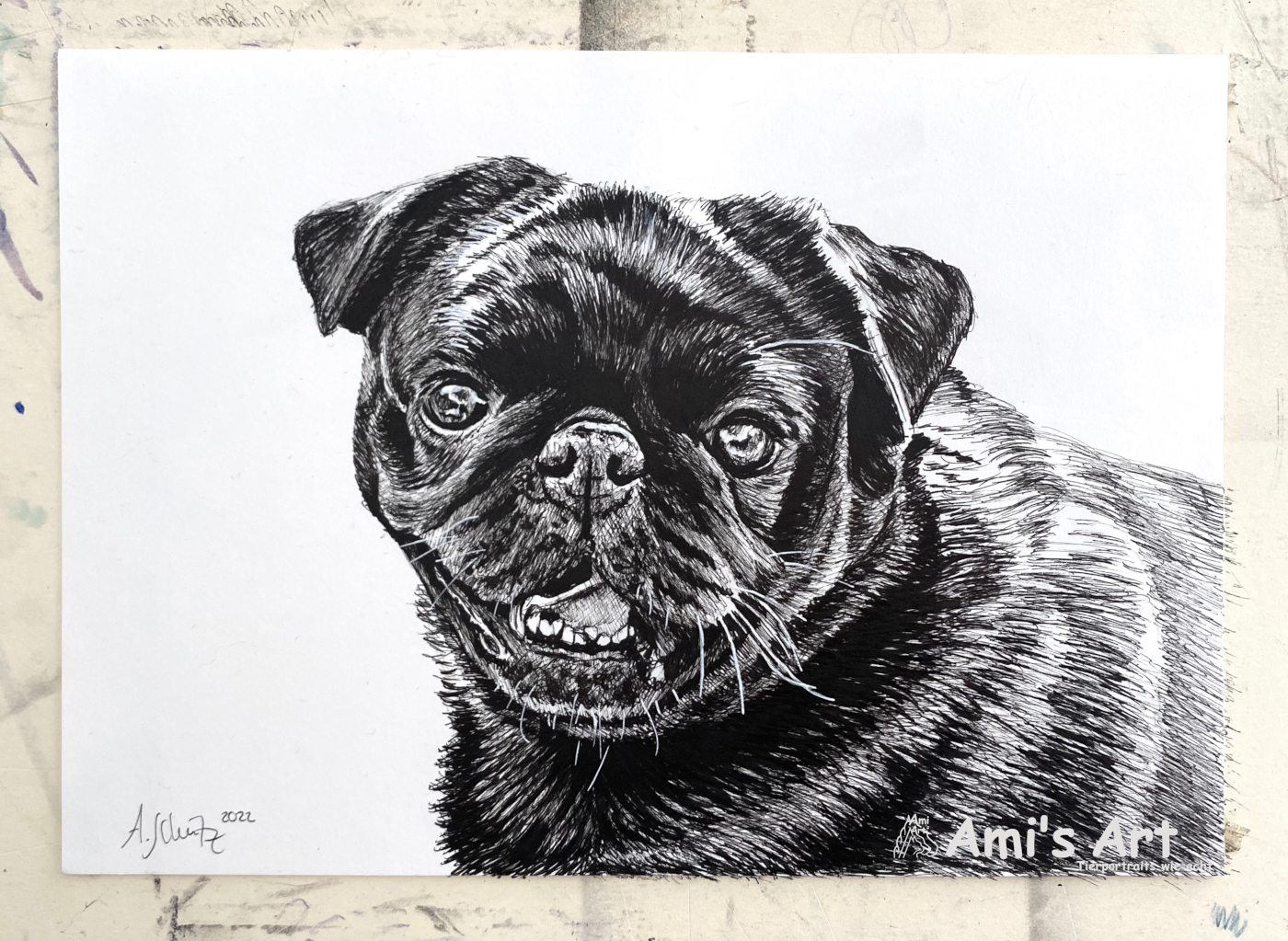 Mops, Pigmentliner, A5. 
