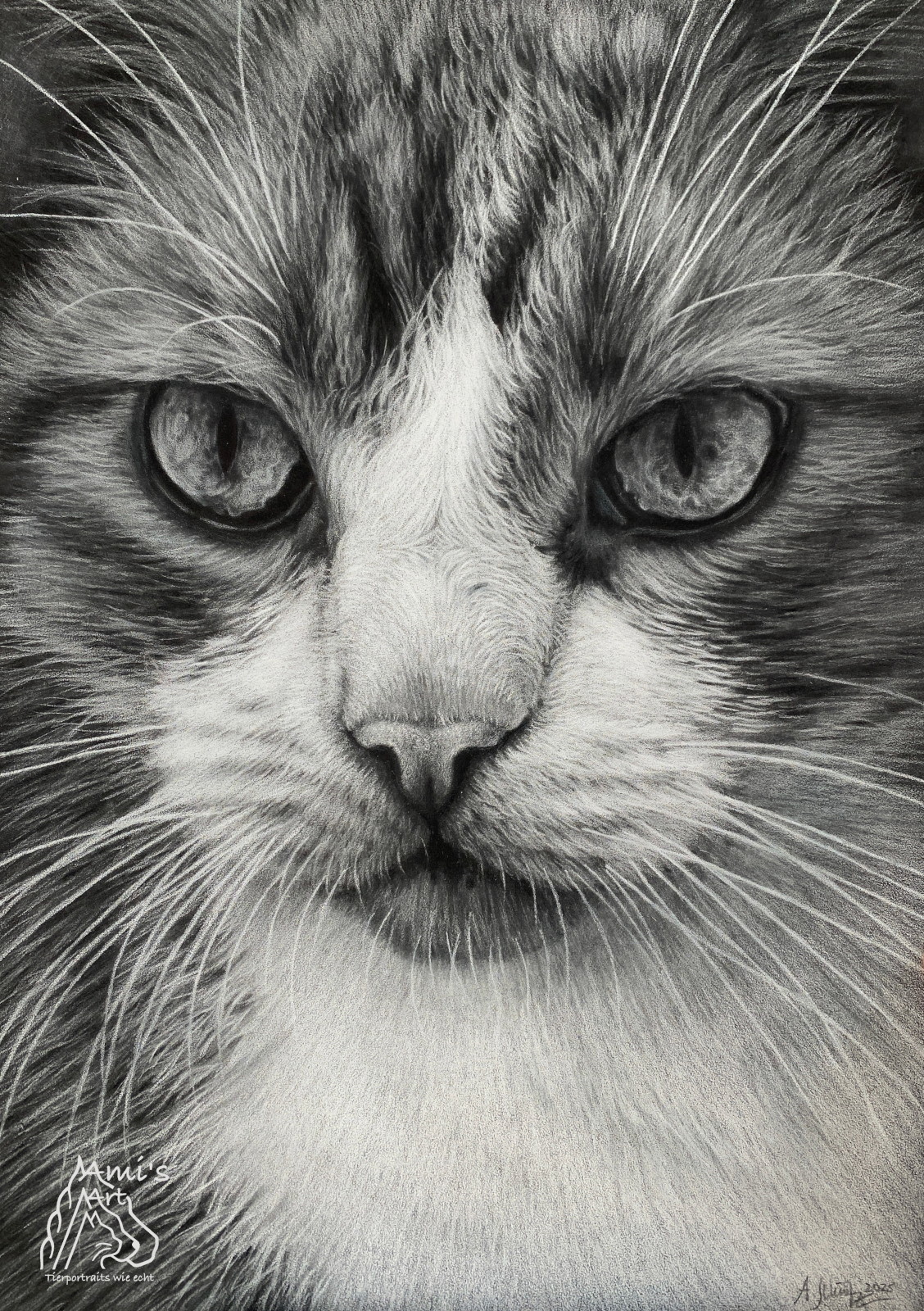 Kater Moritz, Close-up Portrait Black&White, A3.