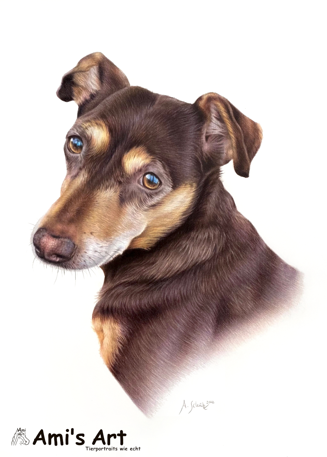 Portrait Mischling, gezeichnet von Ami Schütz mit Buntstiften.