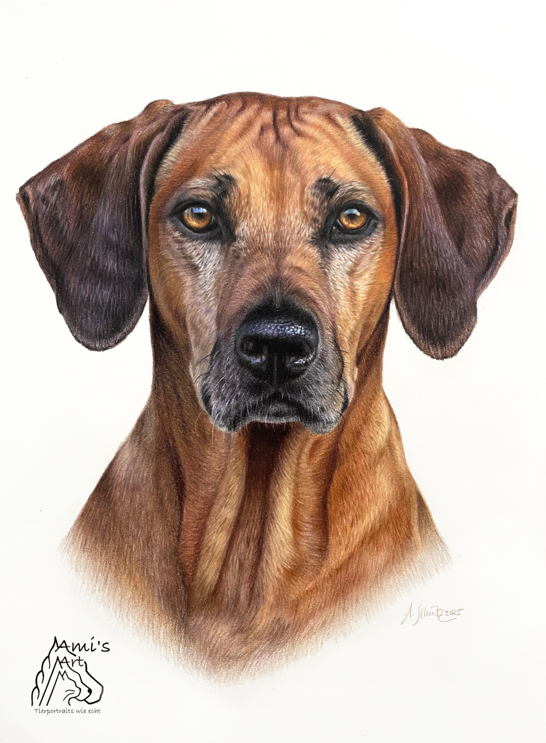 Rhodesian Ridgeback Lozi, A4.