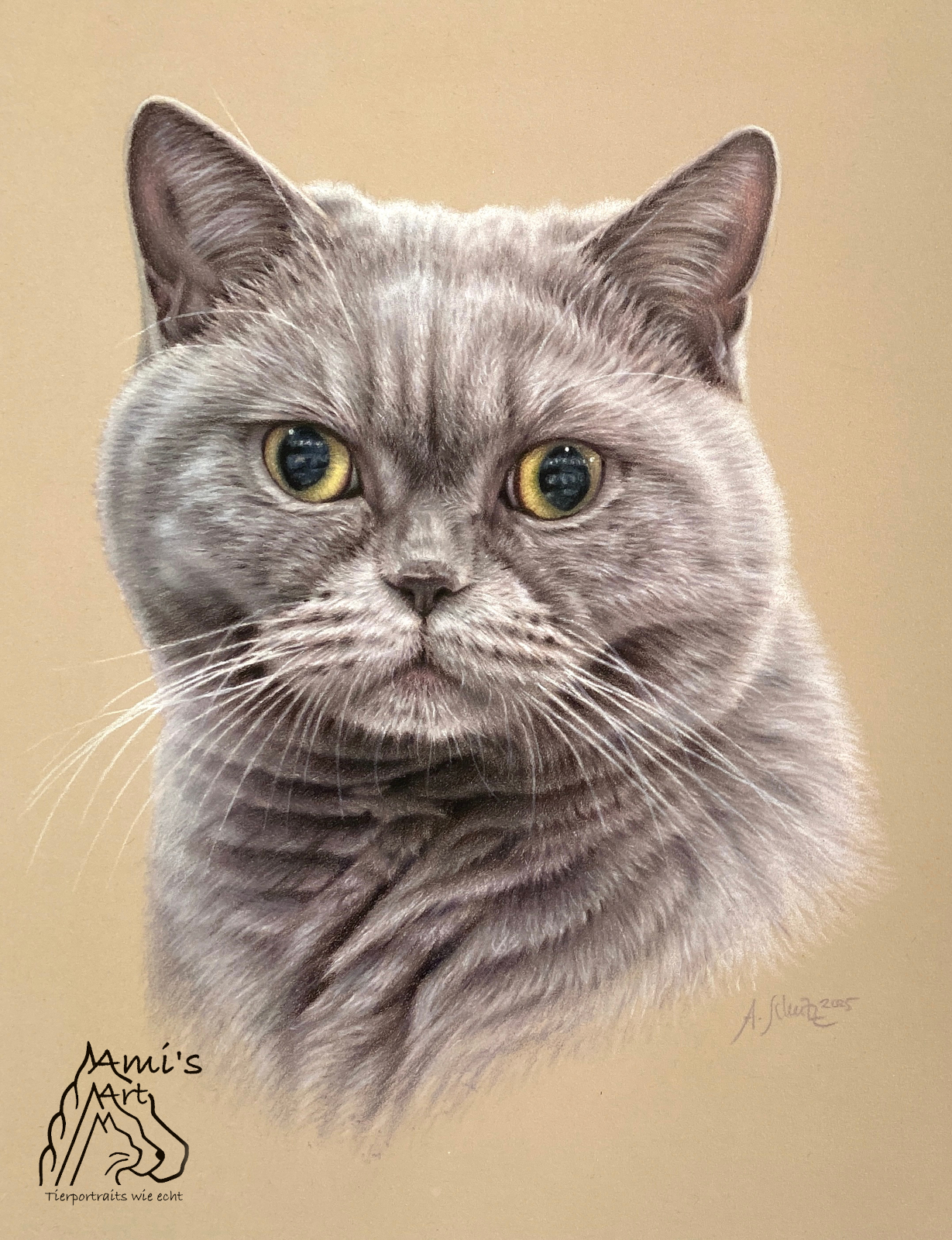 Katzenportrait Britisch Kurzhaar, gezeichnet mit Buntstiften von Ami Schütz.