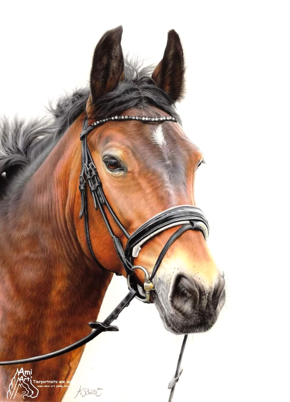 Portrait Pferd, gezeichnet von Ami Schütz mit Buntstiften.