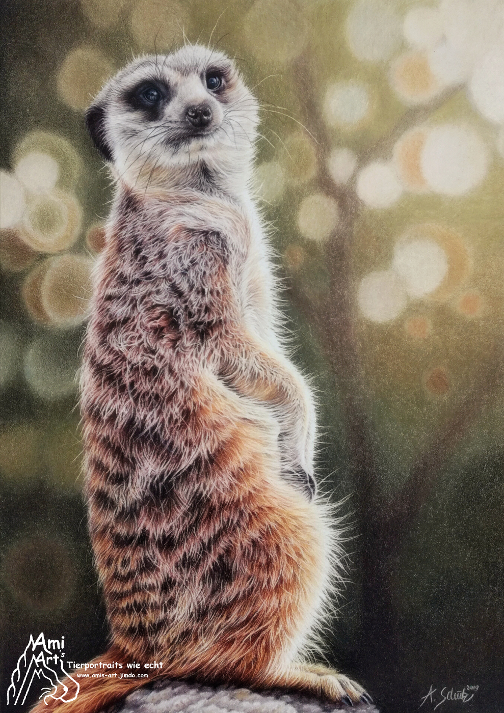 Portrait Erdmännchen, gezeichnet von Ami Schütz mit Buntstiften.