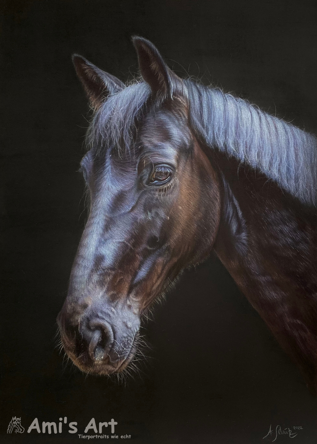 Portrait Pferd, gezeichnet von Ami Schütz mit Buntstiften.