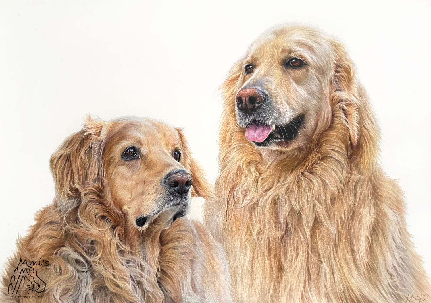 Hundeportrait zwei Hovawarte, gezeichnet mit Buntstiften von Ami Schütz.