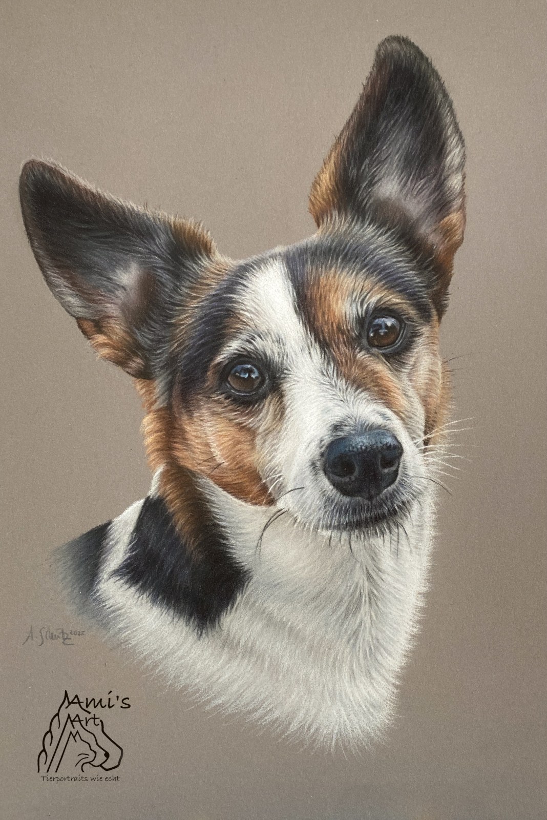 Jack Russell Spike, A4.