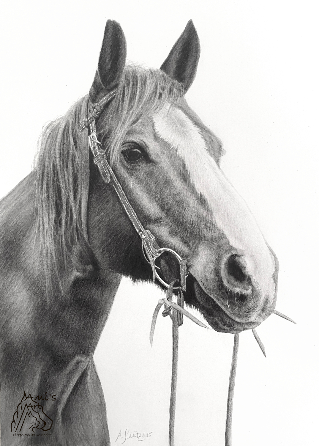 Quarter Horse Joey, Graphitaquarell, A4. 