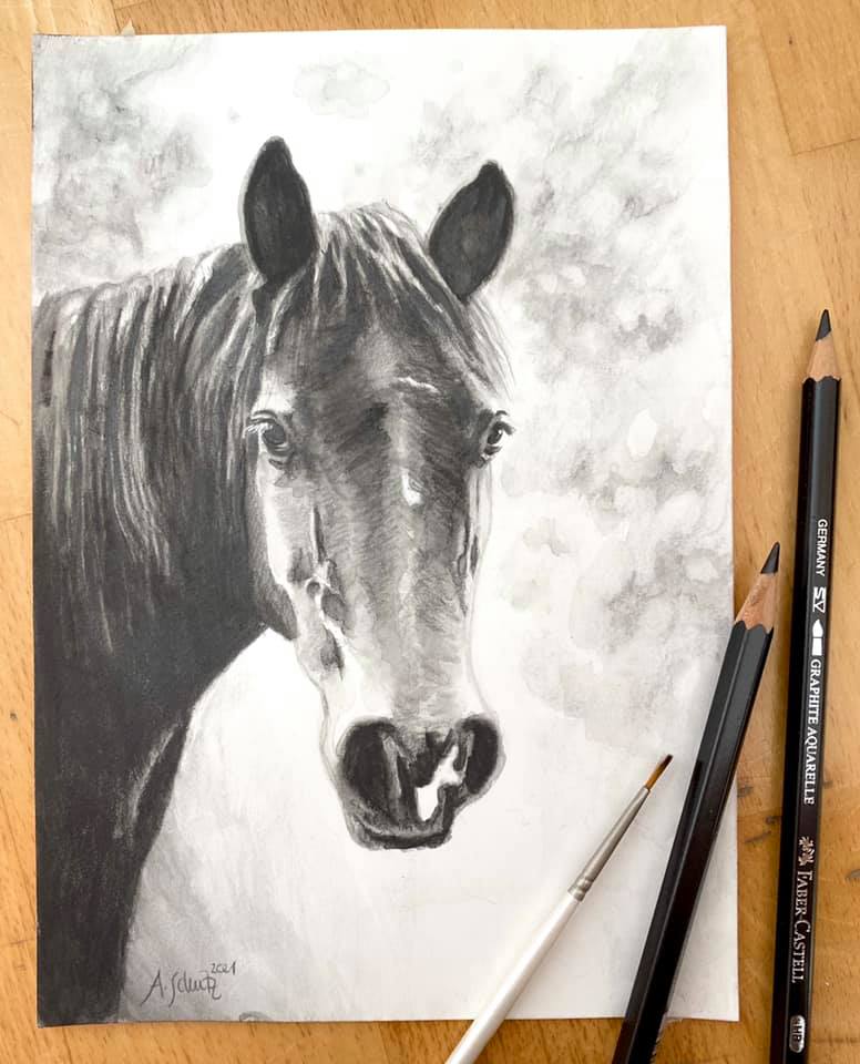 Quarter Horse, Graphitaquarell, A5. 