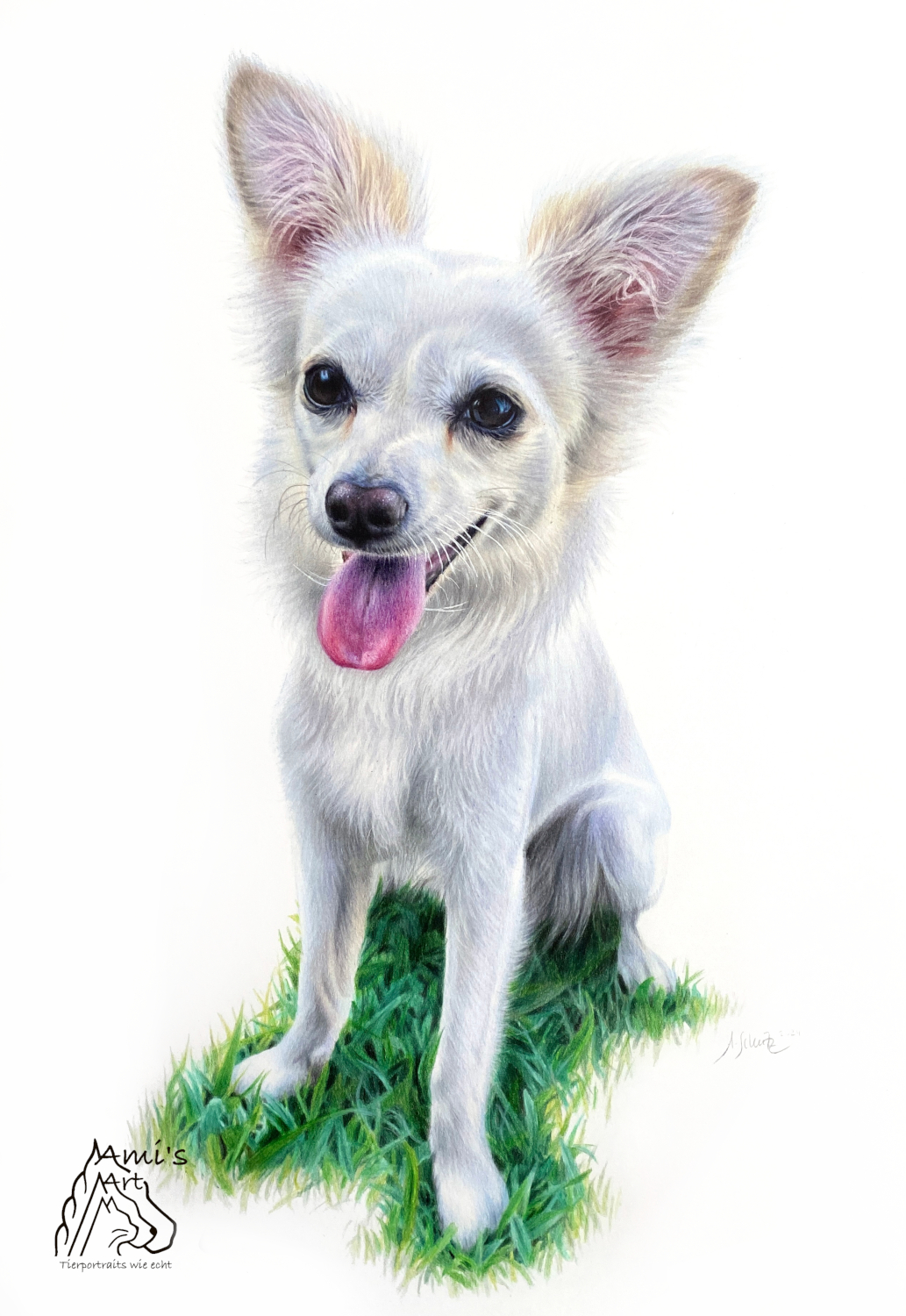 Chihuahua Freyja, A3. 