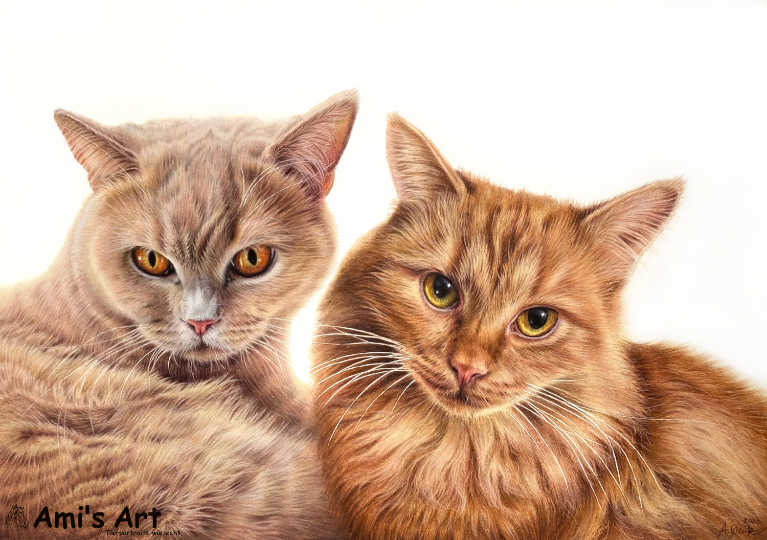 Katzenportrait, gezeichnet mit Buntstiften von Ami Schütz