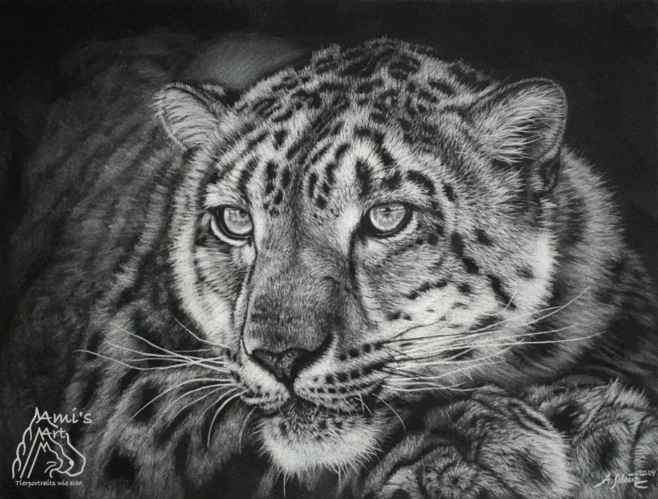 Snow leopard, 24x32cm, Black&White. Verkauft!