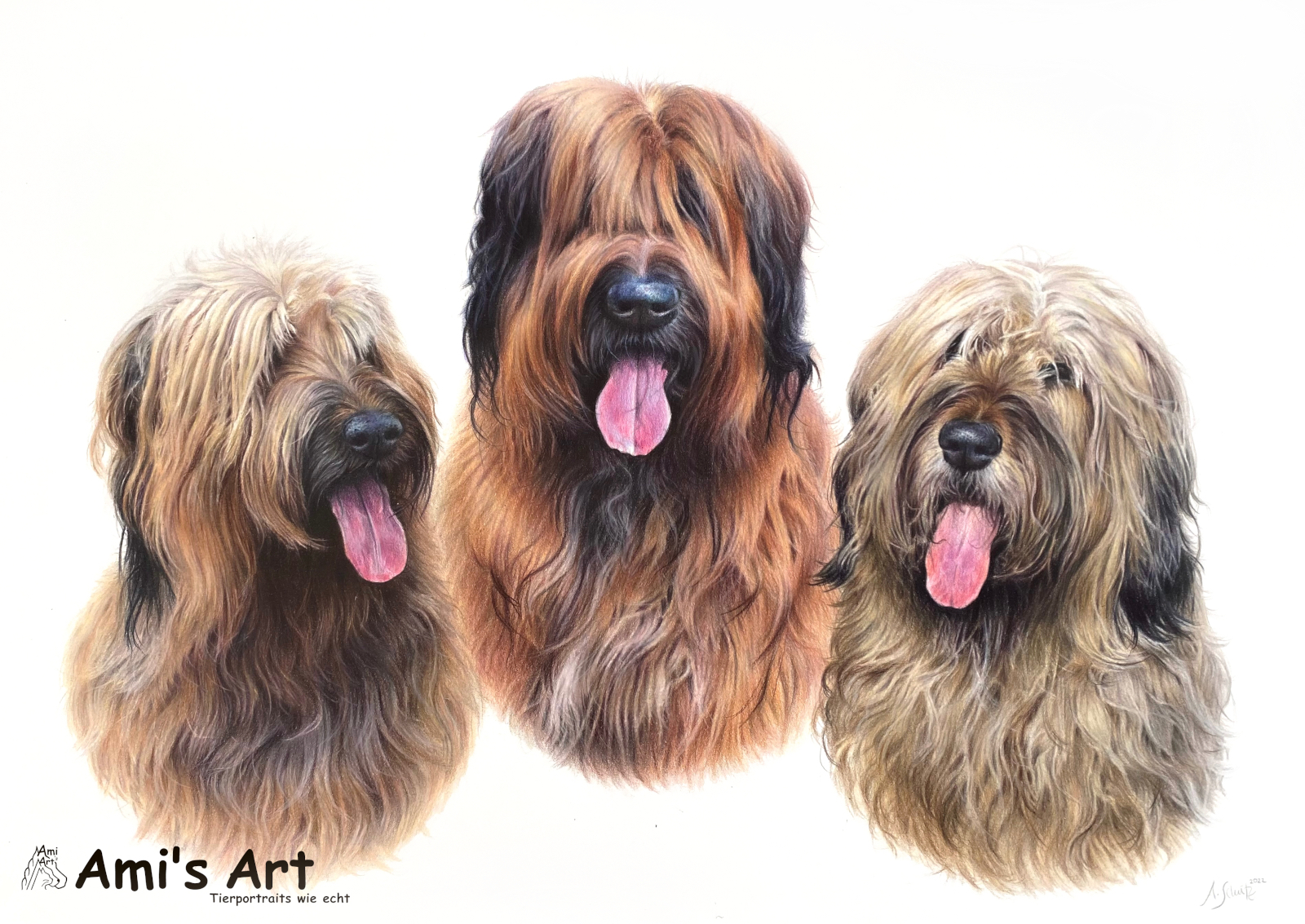Portrait 3 Briards, gezeichnet von Ami Schütz mit Buntstiften.