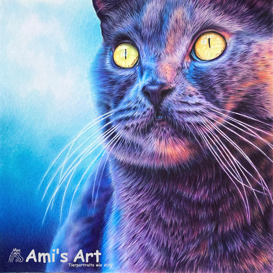 Buntes Portrait Katze, gezeichnet von Ami Schütz mit Buntstiften.