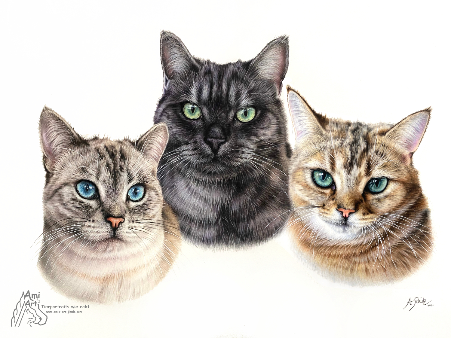 Dreier Katzenportrait BKH, gezeichnet mit Buntstiften von Ami Schütz