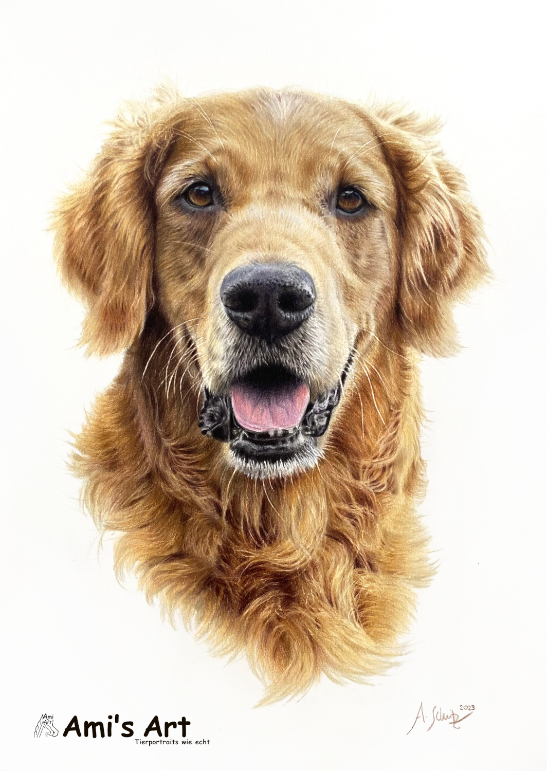 Hundeportrait Golden Retriever, gezeichnet mit Buntstiften von Ami Schütz.