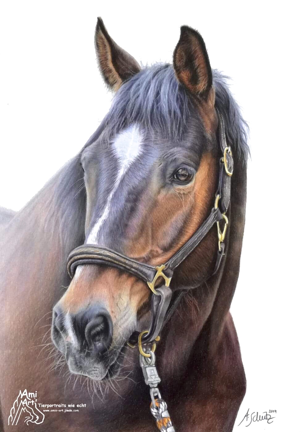 Bonito, A4. 