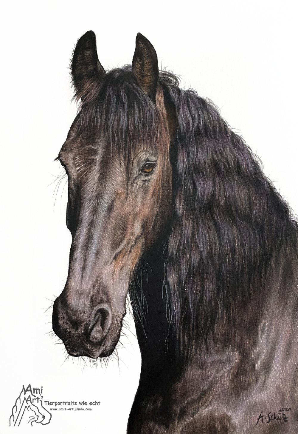 Portrait Friese, gezeichnet von Ami Schütz mit Buntstiften.