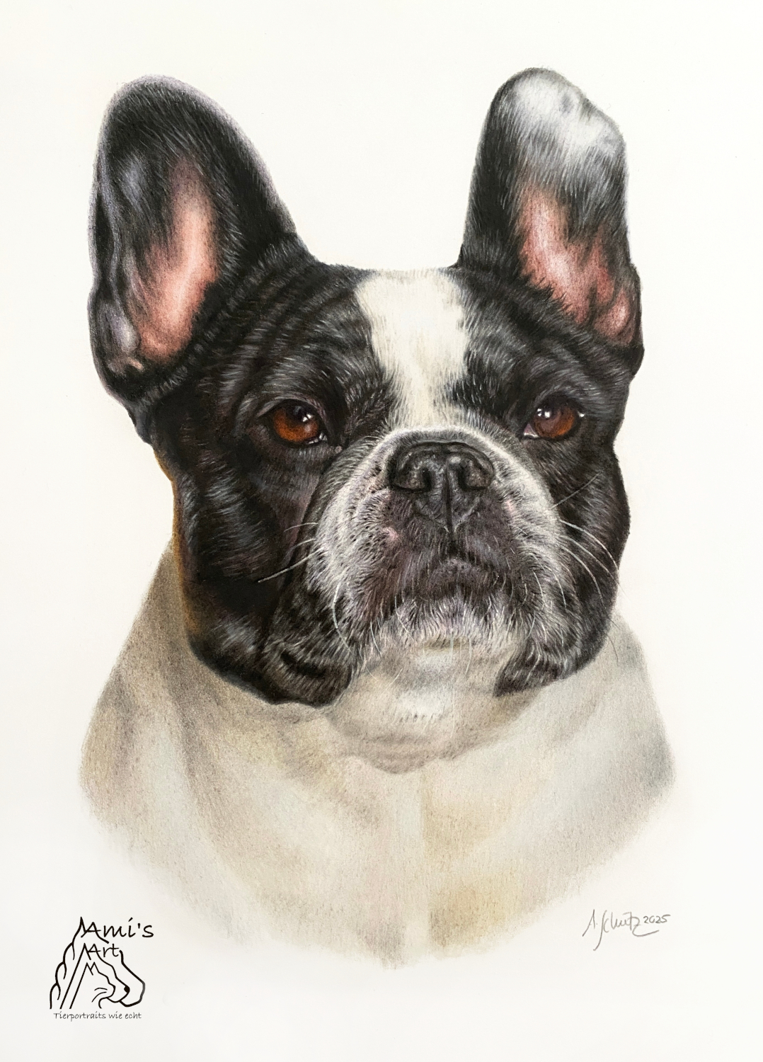 Hundeportrait Französische Bulldogge, gezeichnet mit Buntstiften von Ami Schütz.