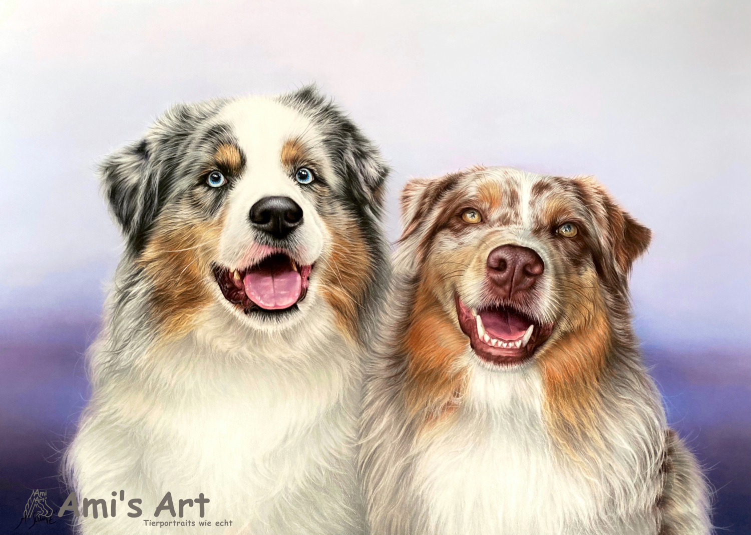 Portrait Australian Shepherds, gezeichnet von Ami Schütz mit Buntstiften.