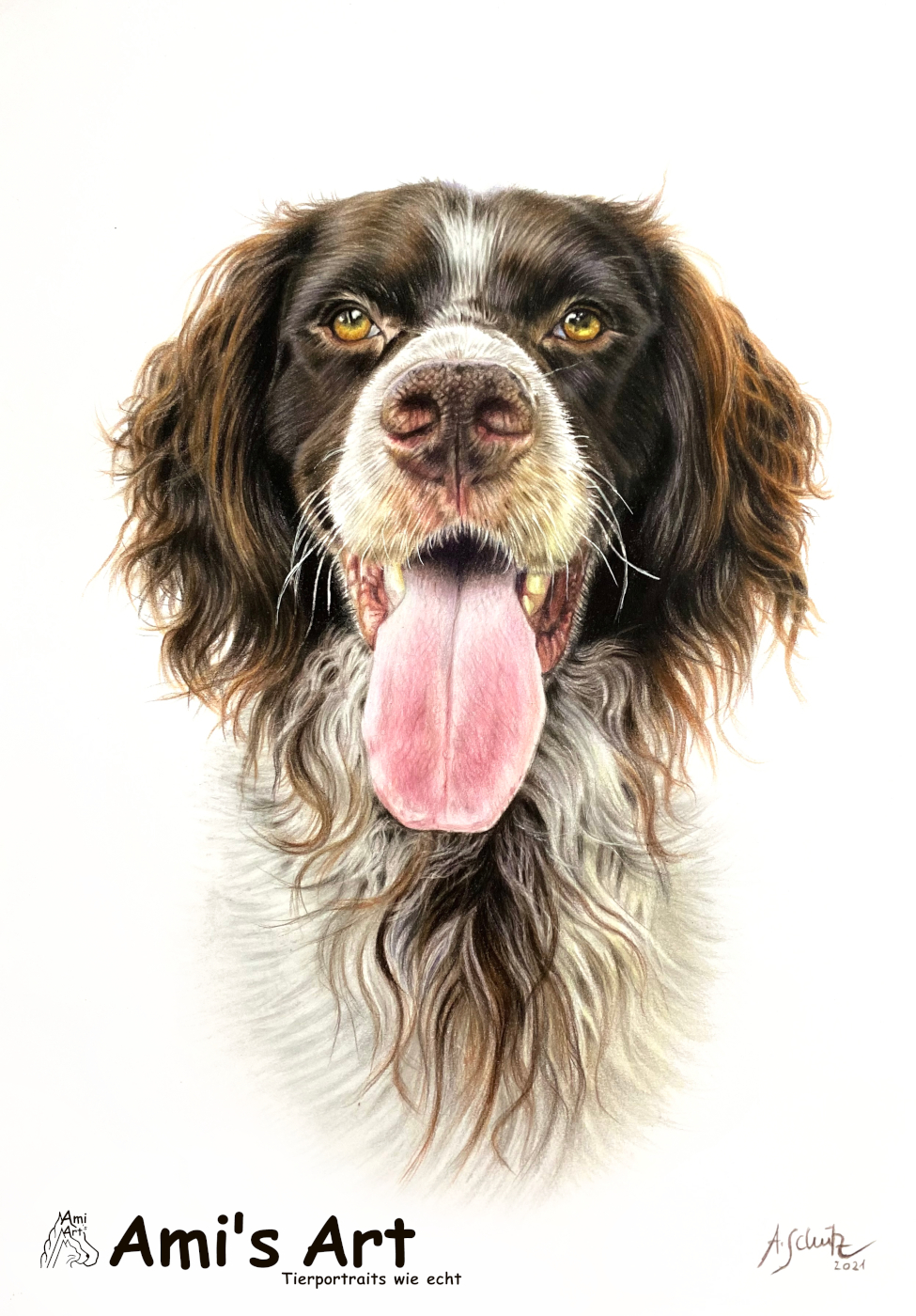 Portrait Deutscher Wachtelhund, gezeichnet von Ami Schütz mit Buntstiften.