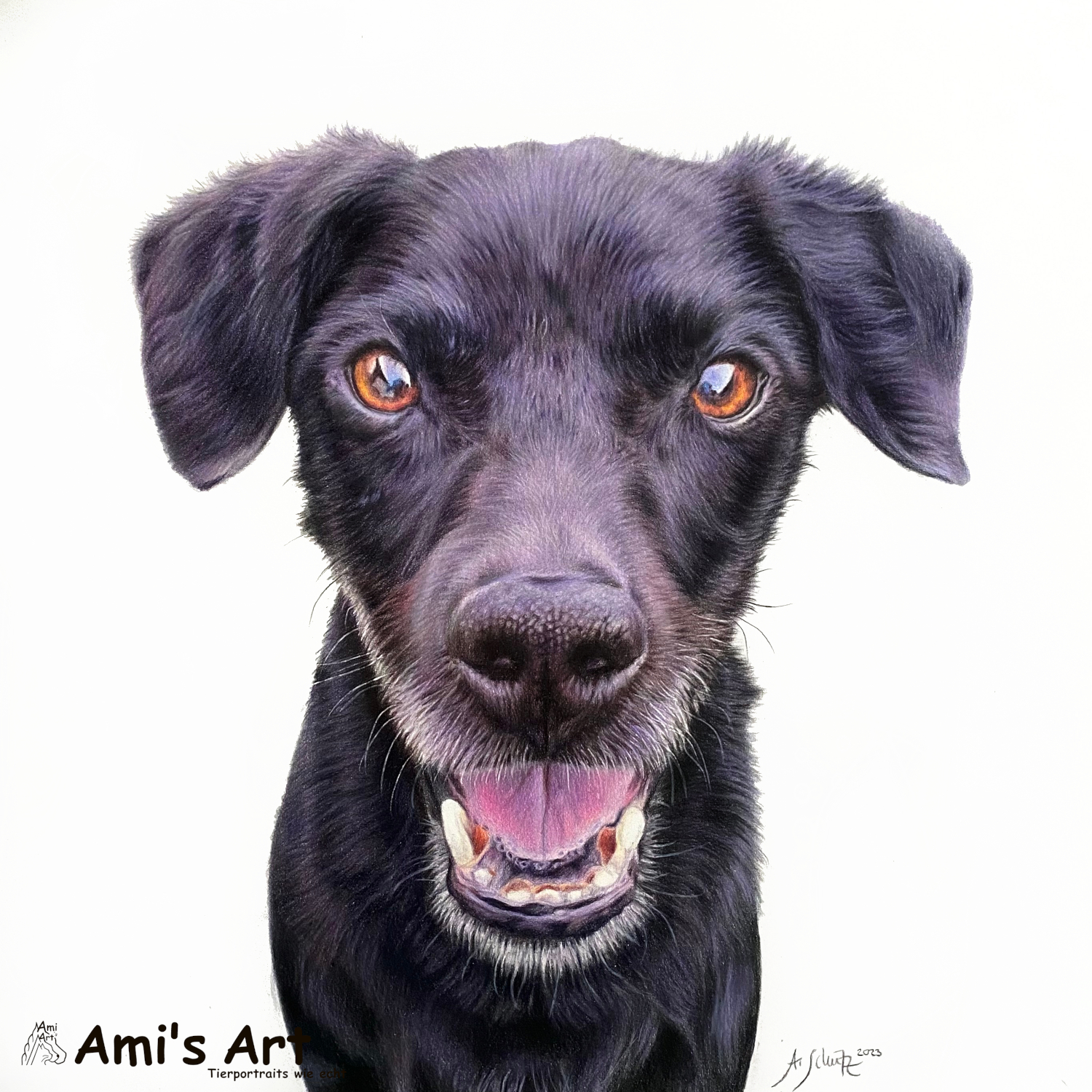 Hundeportrait, gezeichnet mit Buntstiften von Ami Schütz.
