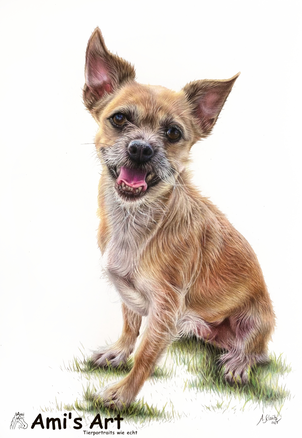 Portrait Chihuahua, gezeichnet von Ami Schütz mit Buntstiften.