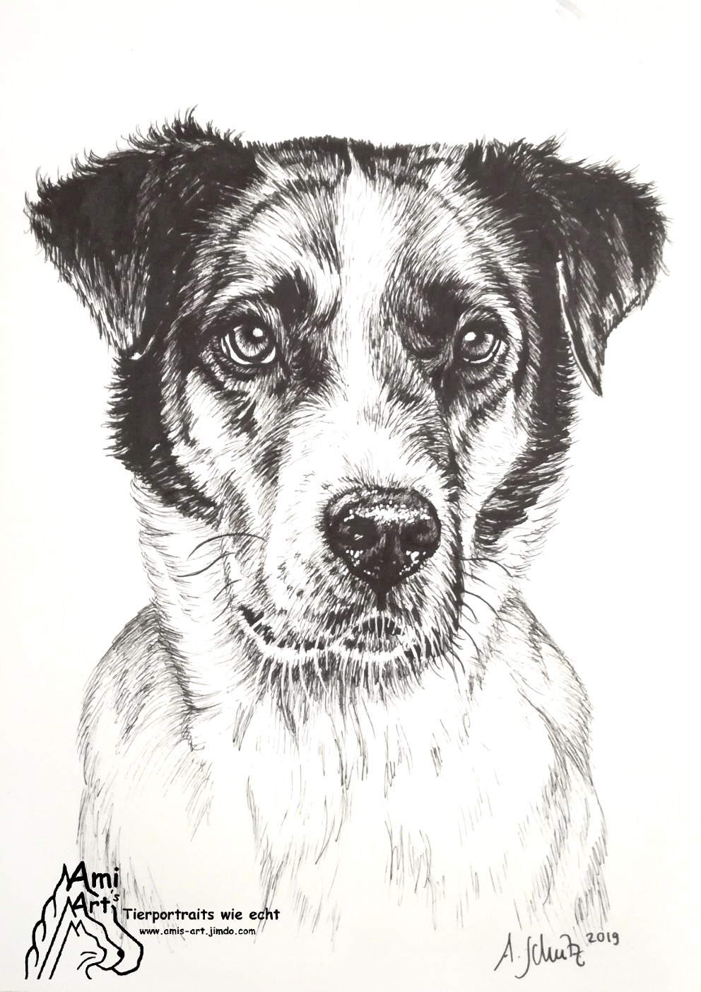 Dog sketch, focus (beginner) tutorial. 
