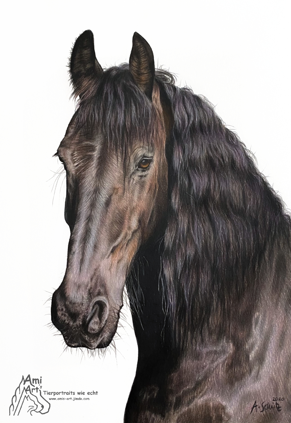 Ary, Friesian horse, full tutorial.