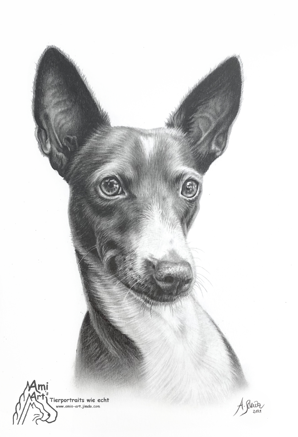 Fritz, Podenco, full graphite tutorial. 