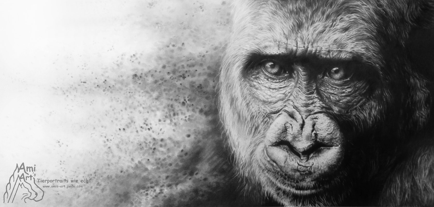 Gorilla, Bleistift, 25x60cm. Fine Art Prints erhältlich!