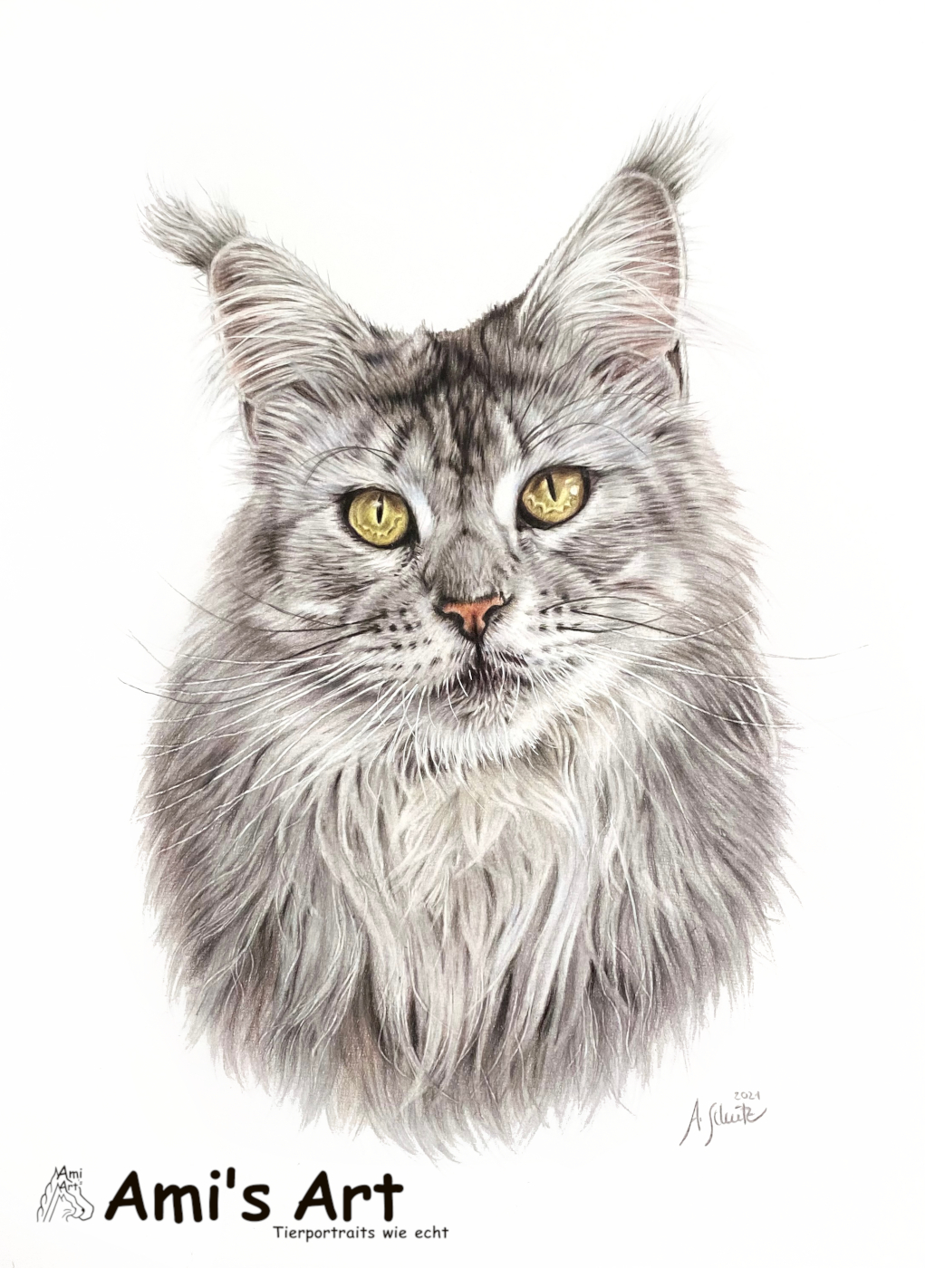 Pepper, Maine Coon, full tutorial.