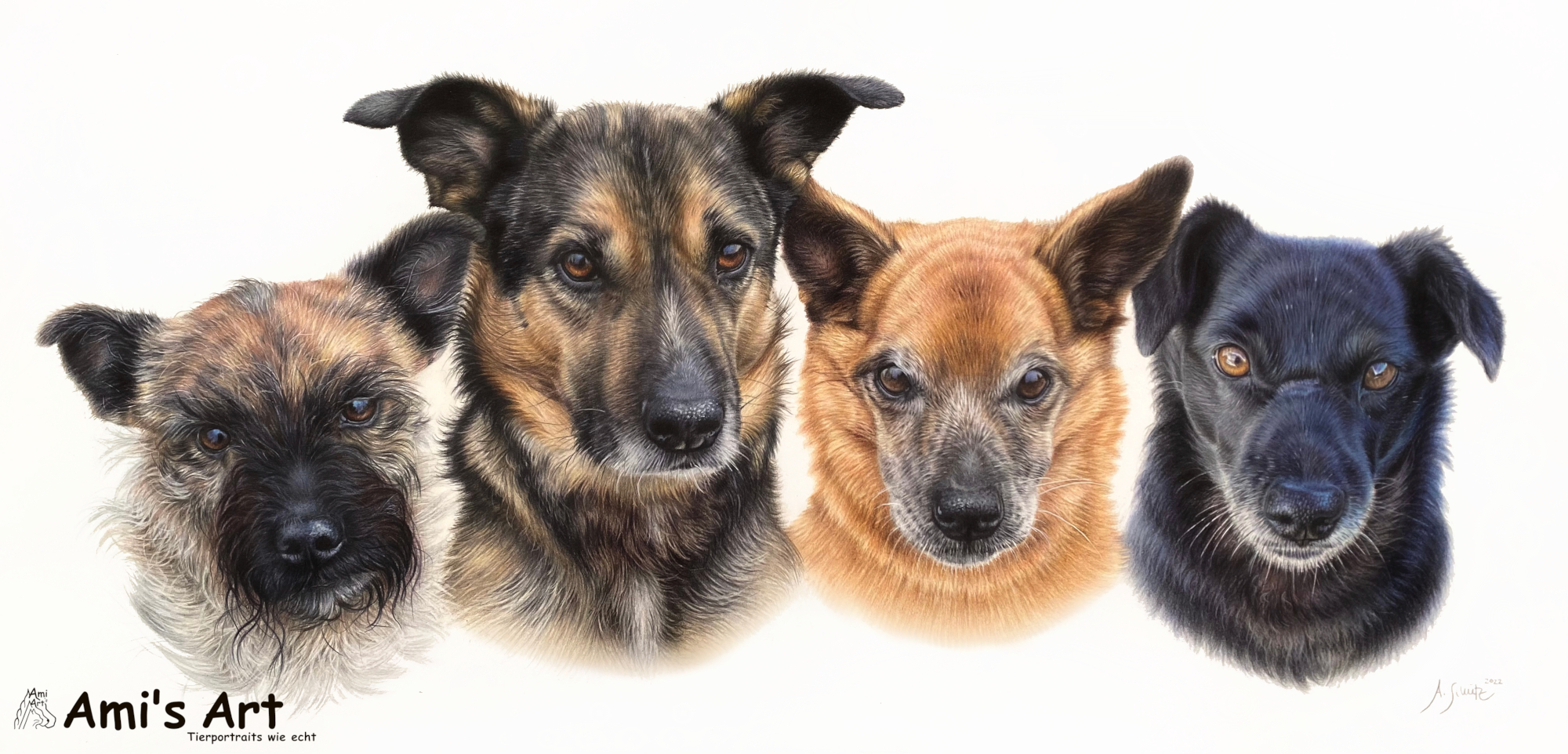 Portrait von 6 Mischlingen, gezeichnet von Ami Schütz mit Buntstiften.