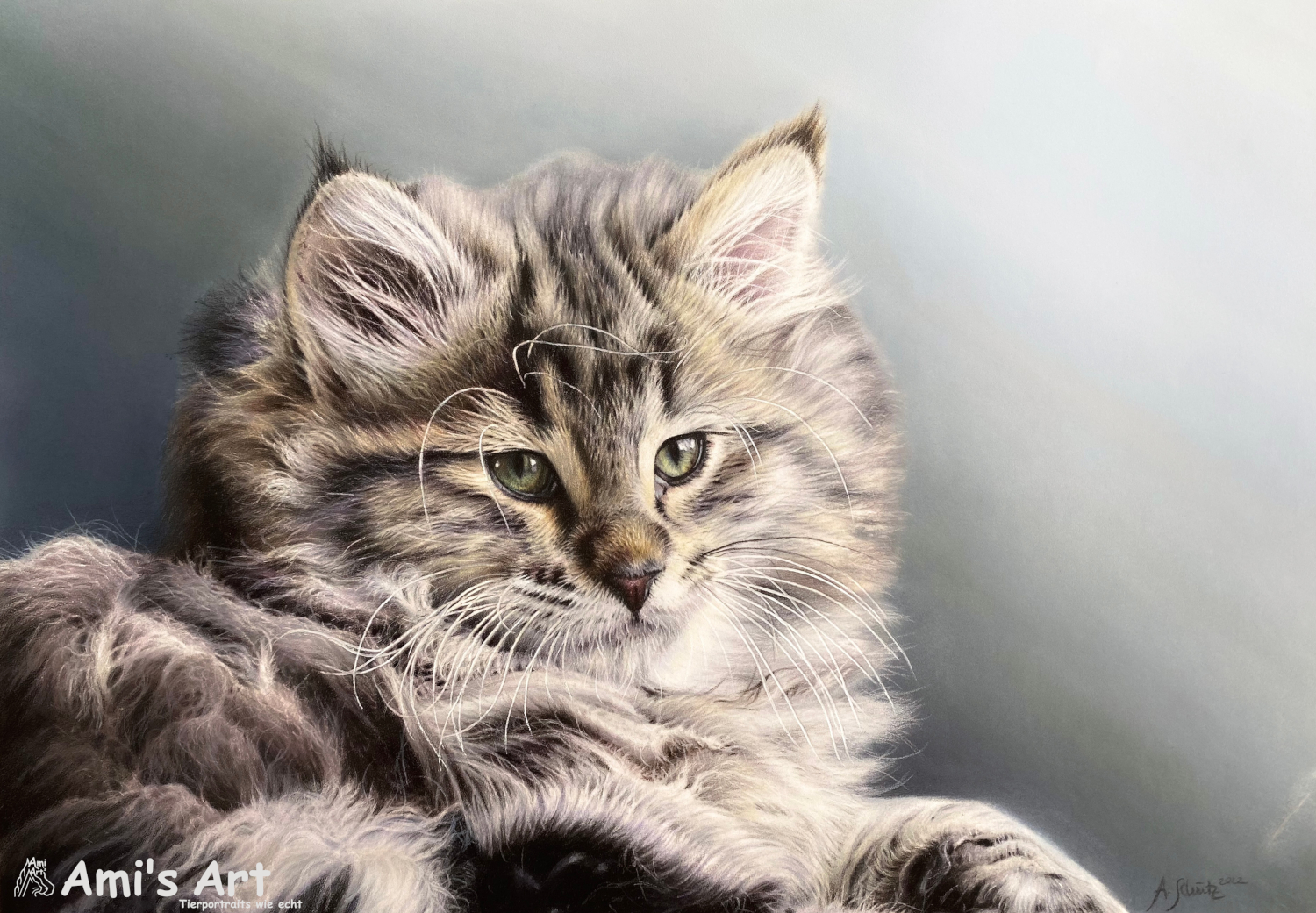 Katzenportrait Maine Coon,  gezeichnet mit Buntstiften von Ami Schütz