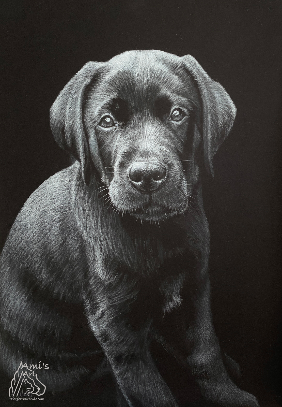Labrador Welpe Watson, Black&White, A4. 