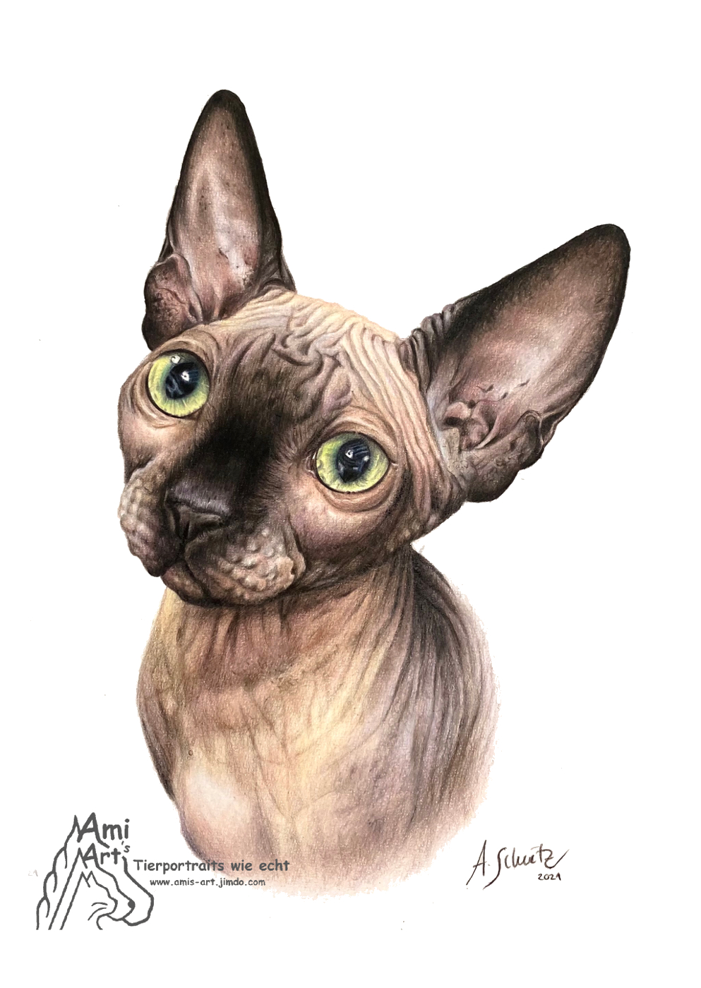 Sphinx Nora, 20x25cm.