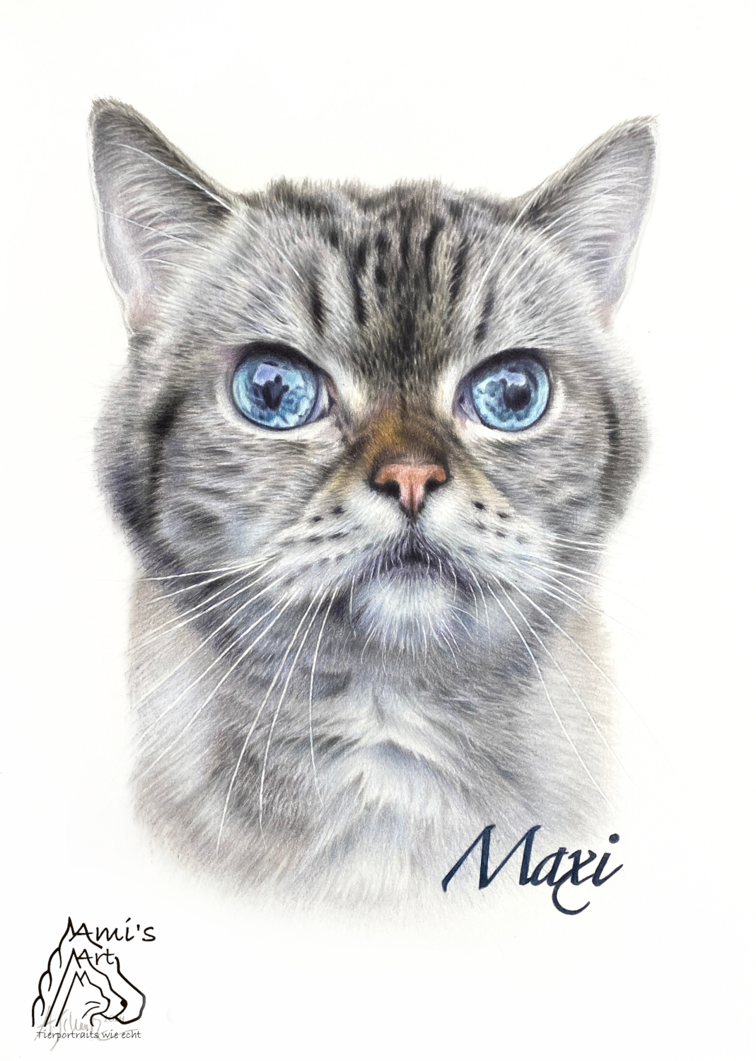 Katzenportrait Britisch Kurzhaar, gezeichnet mit Buntstiften von Ami Schütz