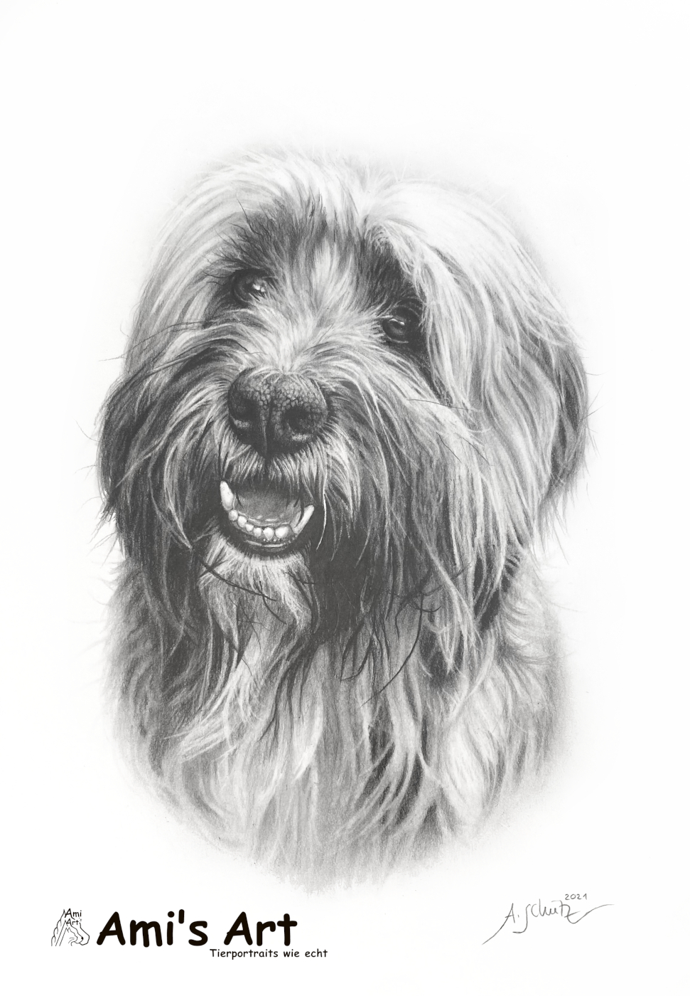 Tibet Terrier Leo, Bleistift, A4. 